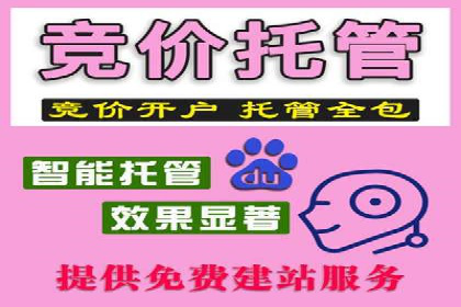 案例解读：竞价SEM托管助力企业崛起